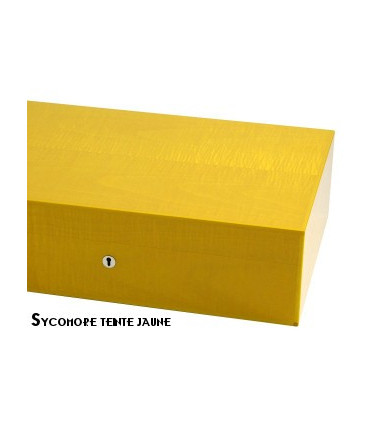 Elie Bleu - "Classic" box in ebony for 8 watches and 20 cufflinks