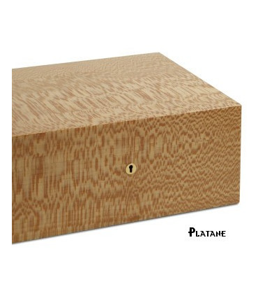 Elie Bleu - "Classic" box in ebony for 8 watches and 20 cufflinks