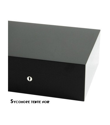 Elie Bleu - "Classic" box in ebony for 8 watches and 20 cufflinks