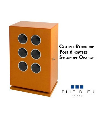 Elie Bleu - 6 watches winder