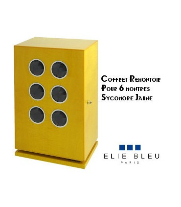 Elie Bleu - 6 watches winder
