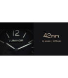 Panerai 42mm